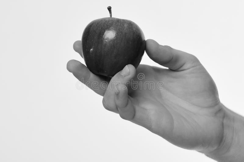 Φρούτα της Apple που απομονώνονται στο ανοικτό γκρι υπόβαθρο Apple στο φρέσκο φωτεινό και juicy χρώμα Βιταμίνες και έννοια ικανότ στοκ φωτογραφία με δικαίωμα ελεύθερης χρήσης Φρούτα της Apple που απομονώνονται στο ανοικτό γκρι υπόβαθρο Apple στο φρέσκο φωτεινό και juicy χρώμα Βιταμίνες και έννοια ικανότ στοκ φωτογραφία με δικαίωμα ελεύθερης χρήσης