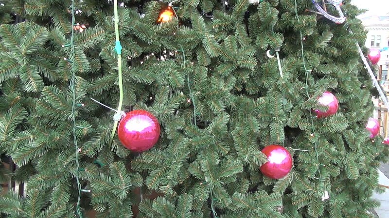 Φυσαλίδα κλάδων χριστουγεννιάτικων δέντρων