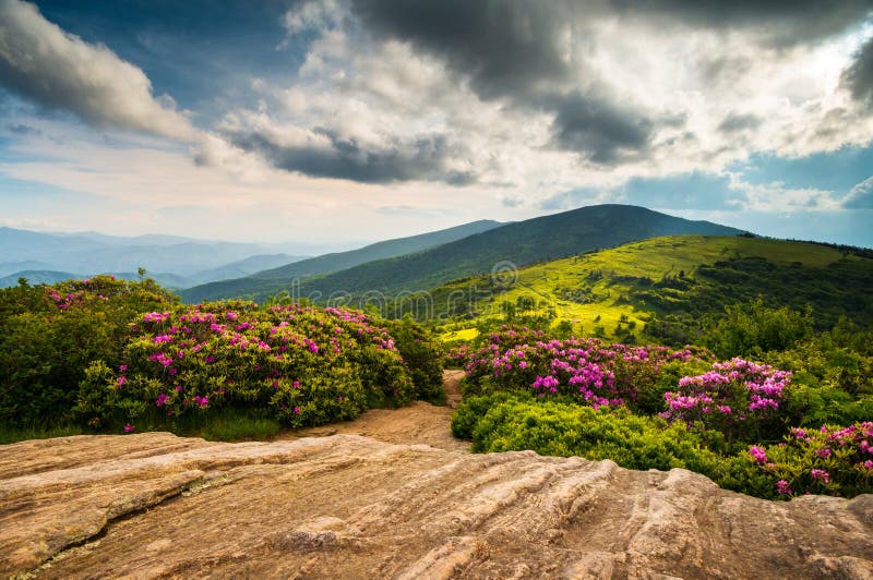 Φυσικά βουνά Landsca ανοίξεων ιχνών της βόρειας Καρολίνας της όξινης απορροής στοκ φωτογραφία Φυσικά βουνά Landsca ανοίξεων ιχνών της βόρειας Καρολίνας της όξινης απορροής στοκ φωτογραφία