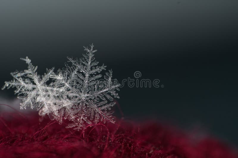 Φυσική snowflake κινηματογράφηση σε πρώτο πλάνο Χειμώνας, κρύο στοκ φωτογραφίες με δικαίωμα ελεύθερης χρήσης Φυσική snowflake κινηματογράφηση σε πρώτο πλάνο Χειμώνας, κρύο στοκ φωτογραφίες με δικαίωμα ελεύθερης χρήσης