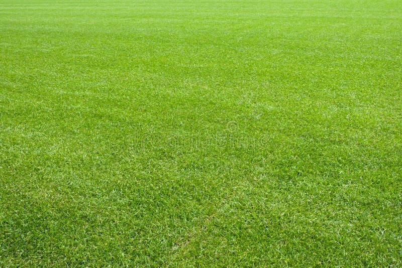 Beautiful natural new green grass texture; new playground on a stadium. Beautiful natural new green grass texture; new playground on a stadium