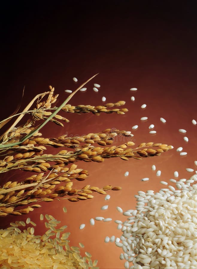 NATURAL AND PILED RICE ON BROWN BACKGROUND. NATURAL AND PILED RICE ON BROWN BACKGROUND