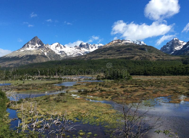Φυσικό τοπίο κοντά σε Ushuaia, Γη του Πυρός, Αργεντινή στοκ εικόνα Φυσικό τοπίο κοντά σε Ushuaia, Γη του Πυρός, Αργεντινή στοκ εικόνα