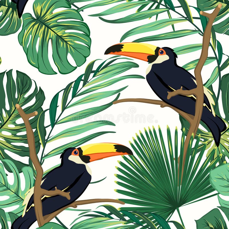 Φυσικός βιότοπος πουλιών Toucan στην εξωτική τροπική πρασινάδα φτερών τροπικών δασών ζουγκλών Ζωηρό βεραμάν άνευ ραφής σχέδιο διανυσματική απεικόνιση Φυσικός βιότοπος πουλιών Toucan στην εξωτική τροπική πρασινάδα φτερών τροπικών δασών ζουγκλών Ζωηρό βεραμάν άνευ ραφής σχέδιο διανυσματική απεικόνιση