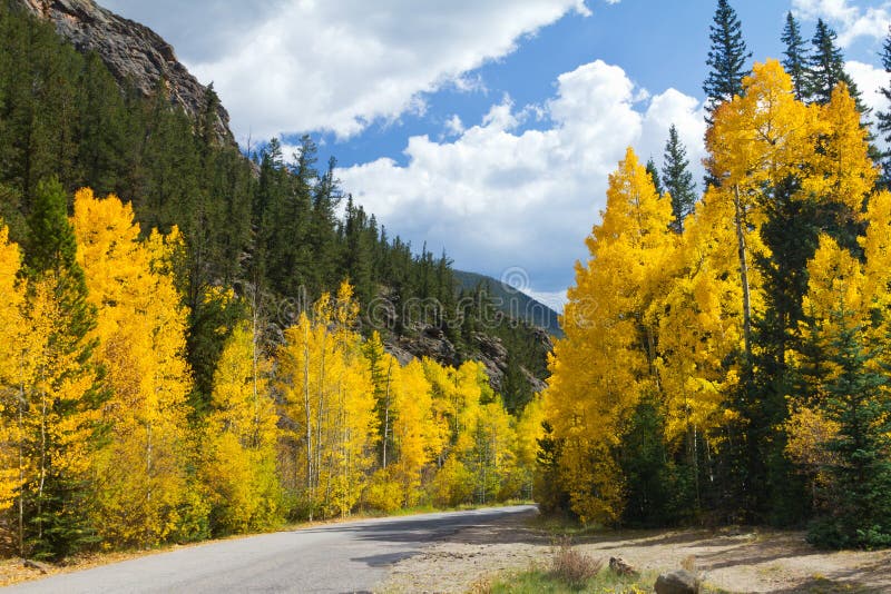 Φυσικός δρόμος το φθινόπωρο Aspens του Κολοράντο στοκ φωτογραφίες Φυσικός δρόμος το φθινόπωρο Aspens του Κολοράντο στοκ φωτογραφίες