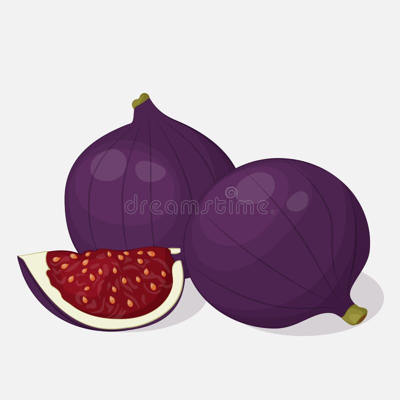 Bright fig apricot on grey background. Sweet delicious for your design in simple cartoon style. Vector illustration. Fruit Collection. Bright fig apricot on grey background. Sweet delicious for your design in simple cartoon style. Vector illustration. Fruit Collection.
