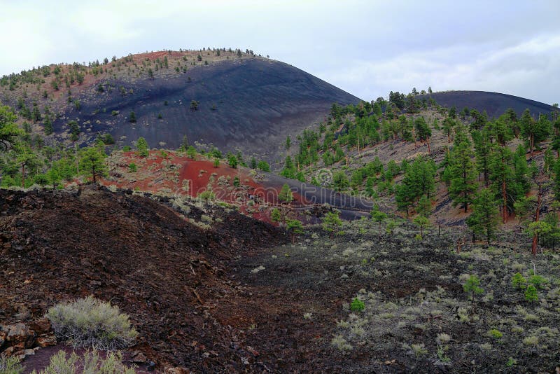 Φωτεινό φως για το βράδυ στο Bonito Lava Flow και στο Sunset Crater Volcano National Monument, Αριζόνα, ΗΠΑ στοκ φωτογραφία με δικαίωμα ελεύθερης χρήσης Φωτεινό φως για το βράδυ στο Bonito Lava Flow και στο Sunset Crater Volcano National Monument, Αριζόνα, ΗΠΑ στοκ φωτογραφία με δικαίωμα ελεύθερης χρήσης