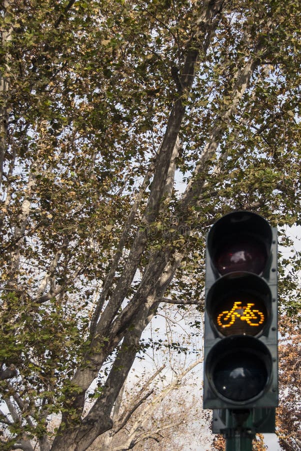 Φωτεινός σηματοδότης ποδηλάτων στο υπόβαθρο δέντρων στοκ φωτογραφία με δικαίωμα ελεύθερης χρήσης Φωτεινός σηματοδότης ποδηλάτων στο υπόβαθρο δέντρων στοκ φωτογραφία με δικαίωμα ελεύθερης χρήσης
