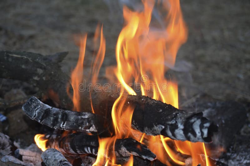 Φωτιά βραδιού στο στρατόπεδο ανιχνεύσεων στοκ εικόνες Φωτιά βραδιού στο στρατόπεδο ανιχνεύσεων στοκ εικόνες