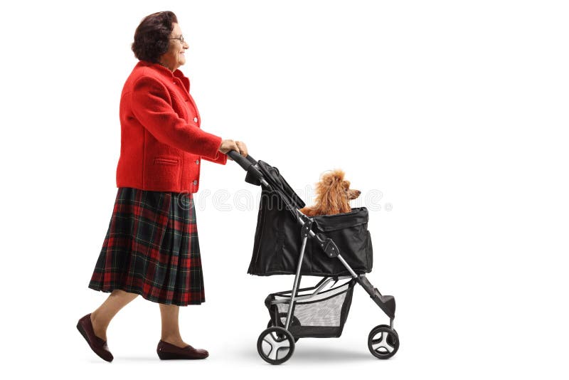 φωτογραφία πλήρους μήκους από γιαγιά που περπατά με ένα σκυλάκι σε ένα καροτσάκι