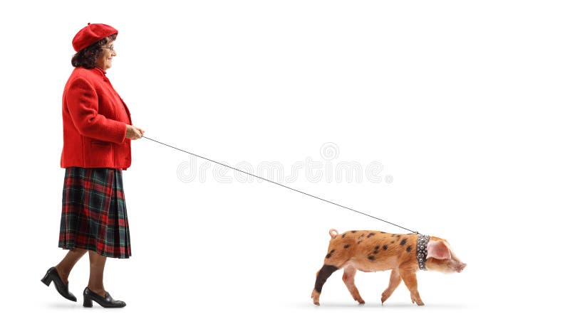 φωτογραφία πλήρους μήκους από μια ηλικιωμένη κυρία που περπατάει ένα μικρό γουρούνι σε ένα μολύβι