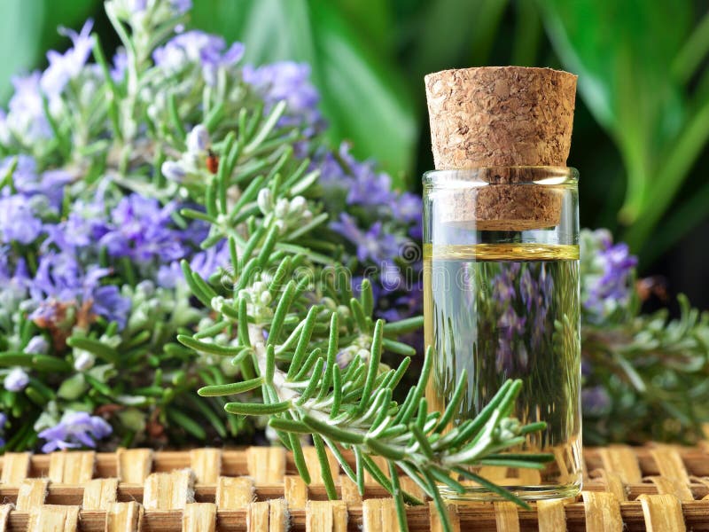 Πετρέλαιο Aromatherapy στοκ εικόνα με δικαίωμα ελεύθερης χρήσης