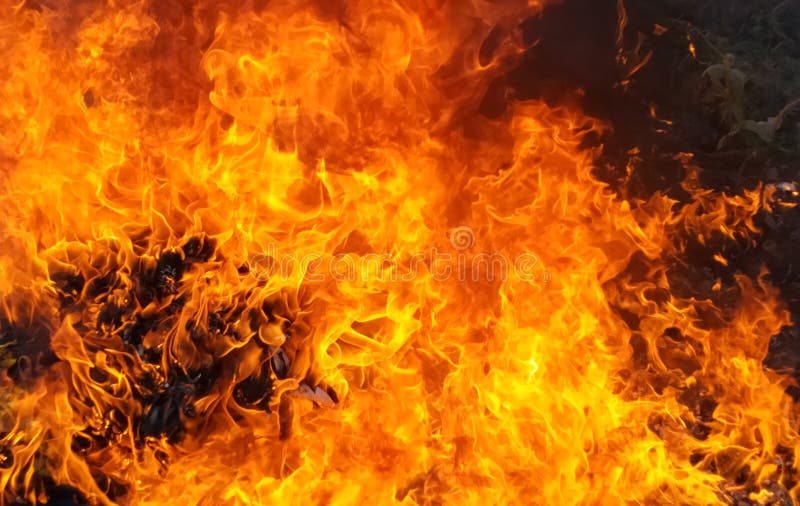 Φόντο υφής φλόγας φλόγας στοκ εικόνες