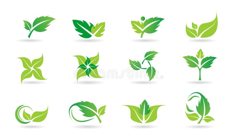 Φύλλο, λογότυπο, φυτό, οικολογία, άνθρωποι, wellness, πράσινο, φύλλα, σύνολο εικονιδίων συμβόλων φύσης του διανυσματικού συνόλου