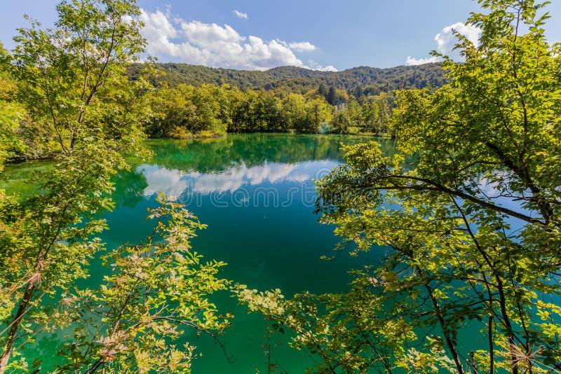 Φύση της Virgin του εθνικού πάρκου λιμνών Plitvice, Κροατία στοκ εικόνα Φύση της Virgin του εθνικού πάρκου λιμνών Plitvice, Κροατία στοκ εικόνα