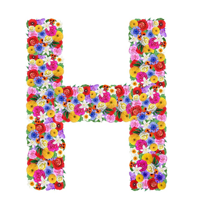 H, letter of the alphabet in different flowers isolated on white background. H, letter of the alphabet in different flowers isolated on white background