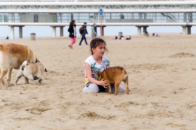 Χάγη, Κάτω Χώρες - 8 Μαΐου 2015: Παιδιά που παίζουν στην παραλία, Scheveningen
