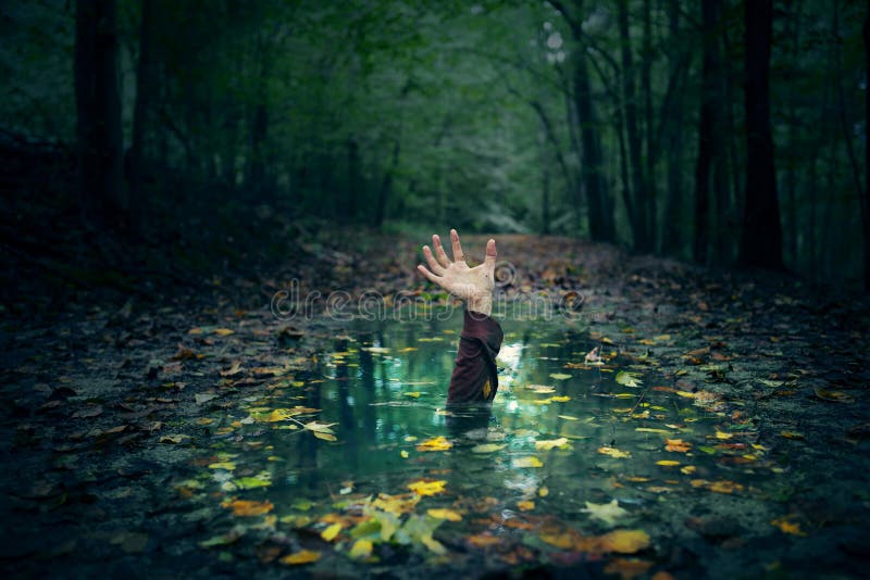 A hand reaching out of a puddle in the forest. A hand reaching out of a puddle in the forest.