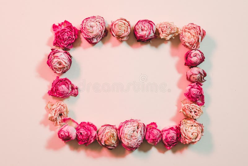 Χαιρετώντας floral πλαίσιο τριαντάφυλλων σύνθεσης ξηρό στοκ εικόνα με δικαίωμα ελεύθερης χρήσης