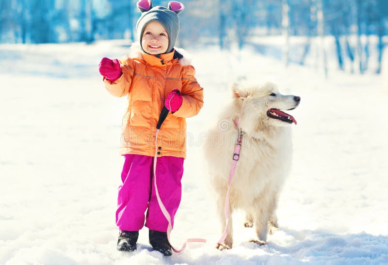 Χαμογελώντας παιδί και λευκό σκυλί Samoyed στο χειμώνα περπατήματος λουριών στοκ φωτογραφίες με δικαίωμα ελεύθερης χρήσης