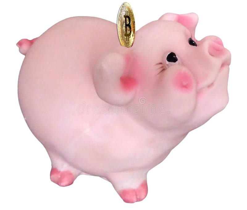 Χαριτωμένη γοητευτική piggy τράπεζα με το νόμισμα bitcoin, σύμβολο 2019 στοκ φωτογραφία Χαριτωμένη γοητευτική piggy τράπεζα με το νόμισμα bitcoin, σύμβολο 2019 στοκ φωτογραφία