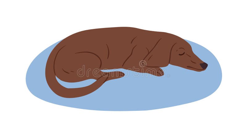 χαριτωμένο καφέ dachshund ή λουκάνικο που κοιμάται στο χαλί. χαριτωμένο καθαρόαιμο σκυλάκι. έγχρωμη απεικόνιση επίπεδου διανύσματο απεικόνιση αποθεμάτων
