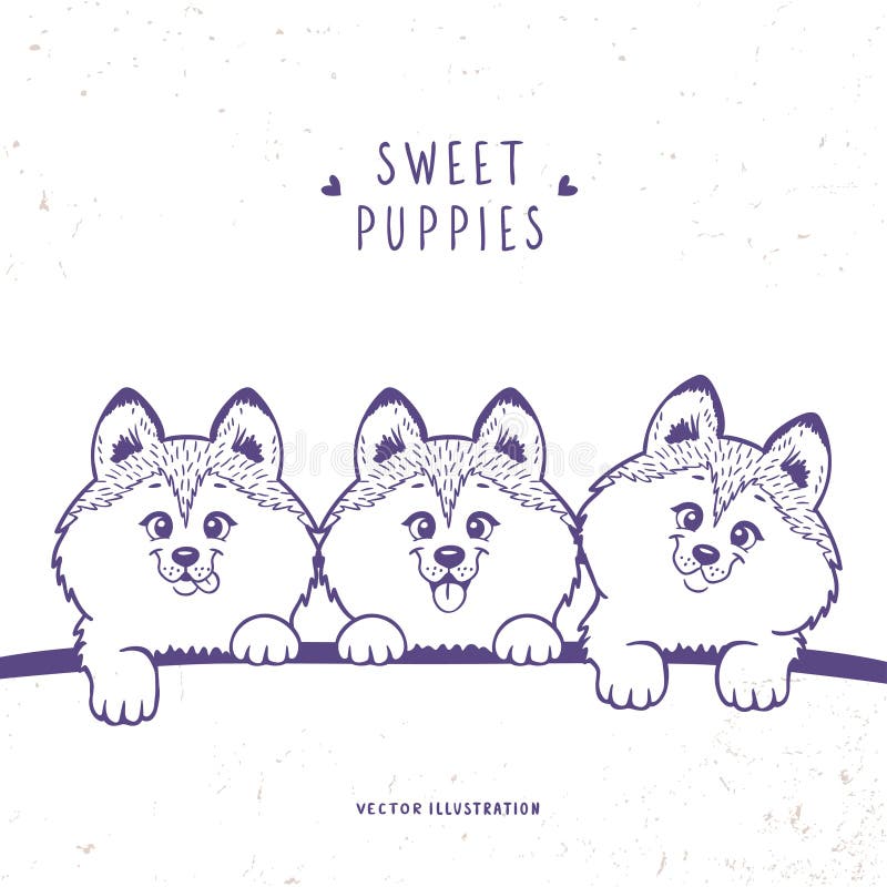 Cute and funny cartoon three puppy husky dog. Silhouettes character happy puppies. Vector illustration. Cute and funny cartoon three puppy husky dog. Silhouettes character happy puppies. Vector illustration