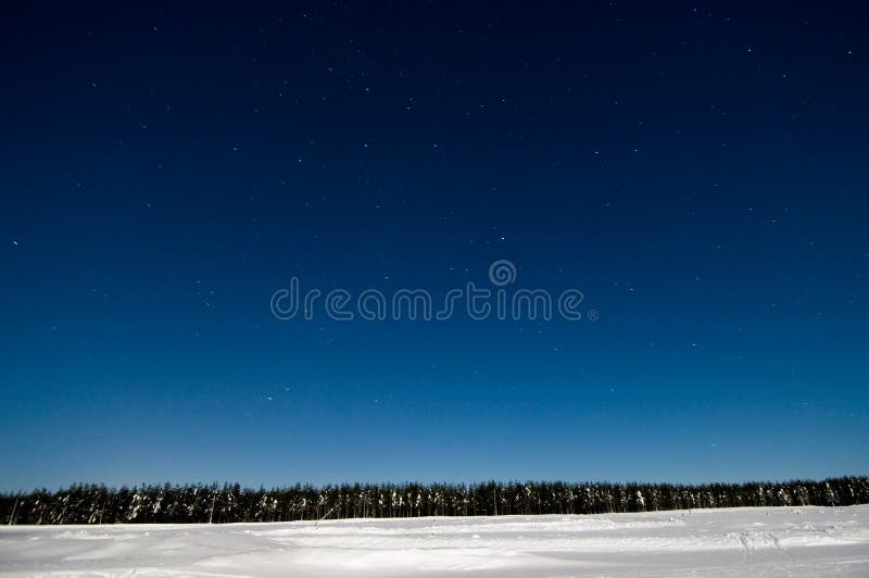 Night winter scene with starry sky and forrest. Night winter scene with starry sky and forrest