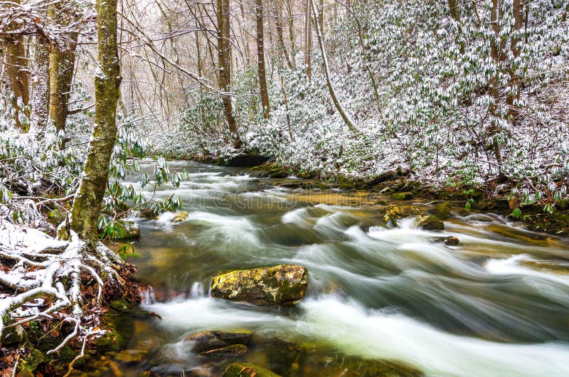 Martins Fork River is one of Kentucky's eight dedicated and protected wild rivers. It is in the upper watershed of the mighty Cumberland River. This section of the river is just below the Cumberland Gap National Park boundaries. Mountain Laurel bushes along the banks are covered in a light winters snow. Martins Fork River is one of Kentucky's eight dedicated and protected wild rivers. It is in the upper watershed of the mighty Cumberland River. This section of the river is just below the Cumberland Gap National Park boundaries. Mountain Laurel bushes along the banks are covered in a light winters snow.