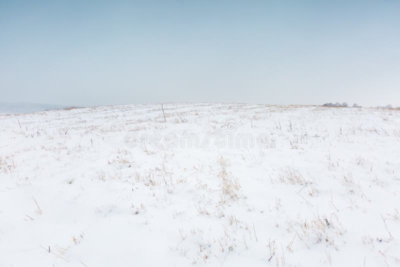 Winter field under cloudy gray sky. European fields landscape at winter. Winter field under cloudy gray sky. European fields landscape at winter.