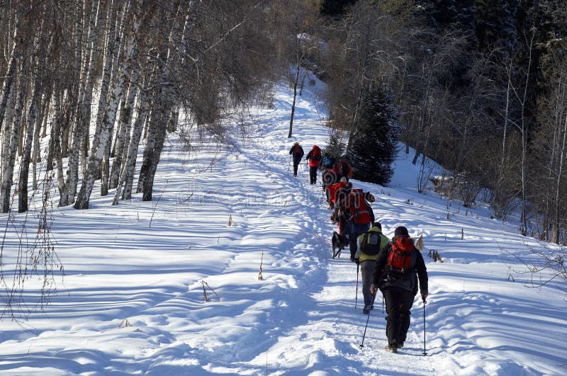 χειμώνας βουνών ομάδας backpackers στοκ εικόνες