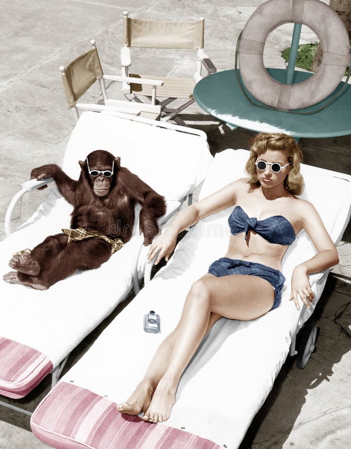 Χιμπατζής και μια ηλιοθεραπεία γυναικών (όλα τα πρόσωπα που απεικονίζονται δεν ζουν περισσότερο και κανένα κτήμα δεν υπάρχει Εξου