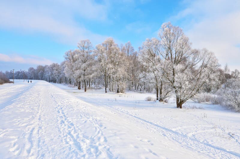 Χιονώδες τοπίο από την κοιλάδα ποταμών Narew. στοκ φωτογραφίες με δικαίωμα ελεύθερης χρήσης