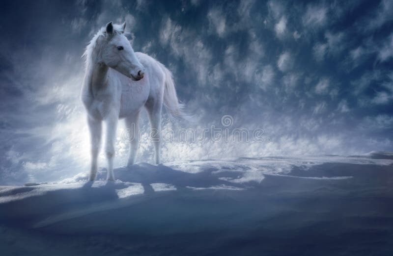 A chilling simplistic composition balancing three dynamic elements: a young white horse we'll call Drifter, who stands proudly atop a cold blueish-white snow drift, and sun-soaked wispy clouds drifting through a pensive blue sky. A chilling simplistic composition balancing three dynamic elements: a young white horse we'll call Drifter, who stands proudly atop a cold blueish-white snow drift, and sun-soaked wispy clouds drifting through a pensive blue sky.