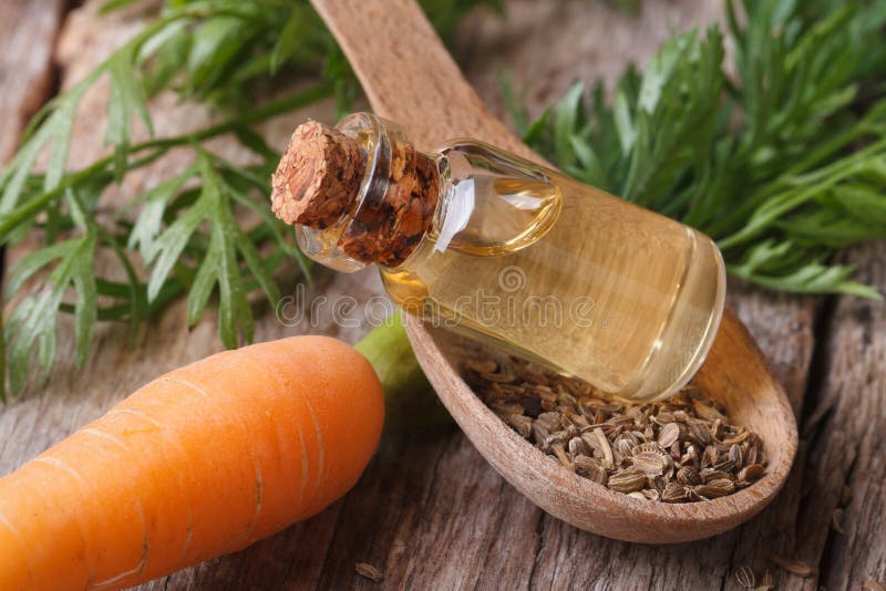 Useful carrot seed oil in glass bottle on the table close-up horizontal. Useful carrot seed oil in glass bottle on the table close-up horizontal.