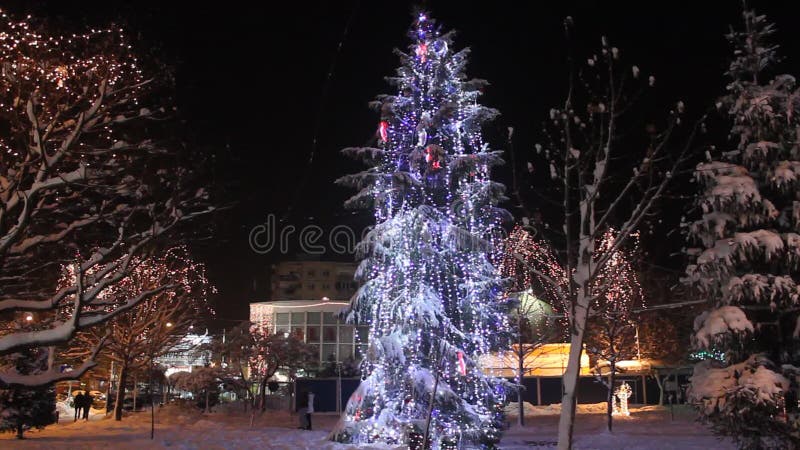 Χριστουγεννιάτικο δέντρο τη νύχτα