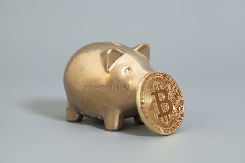 Χρυσή τράπεζα Piggy με ένα χρυσό νόμισμα Bitcoin (νέο εικονικό mone στοκ φωτογραφίες με δικαίωμα ελεύθερης χρήσης Χρυσή τράπεζα Piggy με ένα χρυσό νόμισμα Bitcoin (νέο εικονικό mone στοκ φωτογραφίες με δικαίωμα ελεύθερης χρήσης