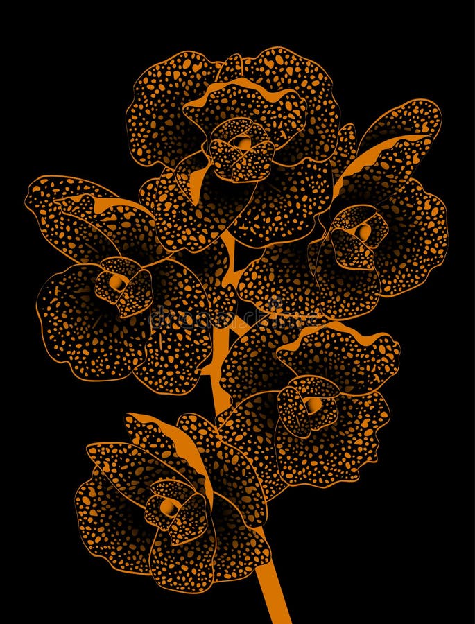 Χρυσό orchid διανυσματική απεικόνιση Χρυσό orchid διανυσματική απεικόνιση