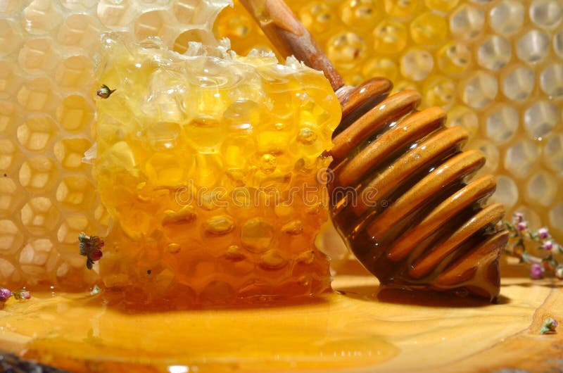 Golden honeycomb and honey puoring. Golden honeycomb and honey puoring