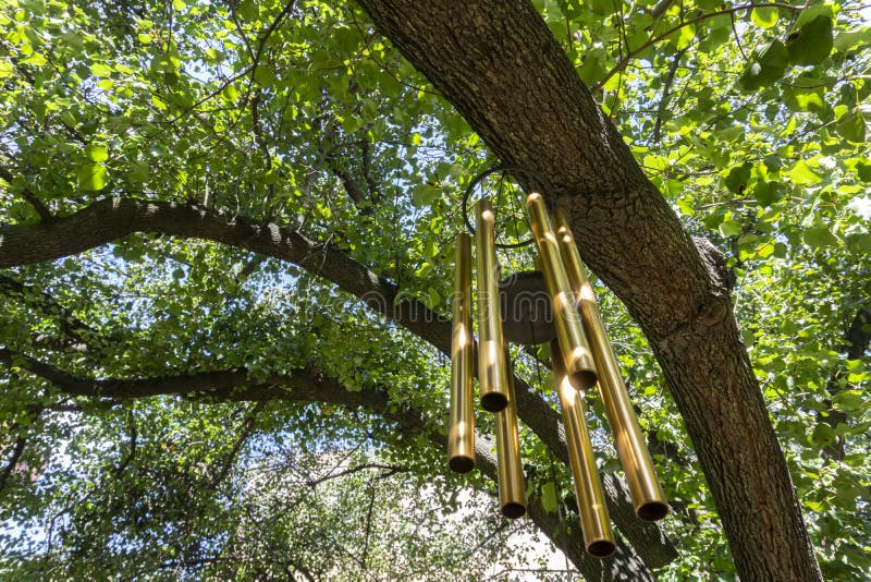 Golden wind chimes hanging from the tree in outdoor public garden. Golden wind chimes hanging from the tree in outdoor public garden.