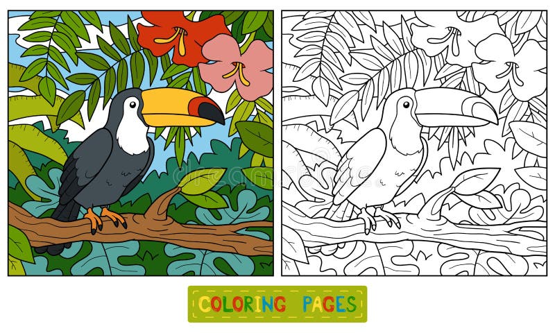 Coloring book, education game for children (toucan and background). Coloring book, education game for children (toucan and background)
