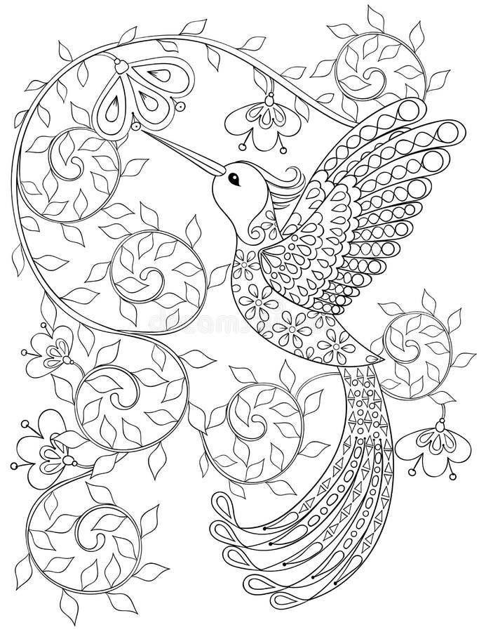 Χρωματίζοντας σελίδα με το κολίβριο, zentangle πετώντας πουλί για τον ενήλικο