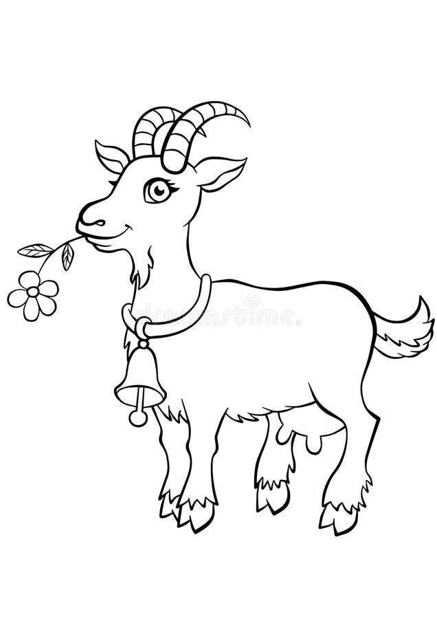 Coloring pages. Animals. Little cute goat stands and holds a flower in the mouth. Coloring pages. Animals. Little cute goat stands and holds a flower in the mouth.