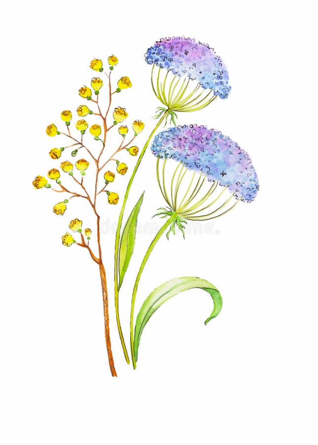 Χρωματισμένη χέρι διανυσματική floral ανθοδέσμη watercolor όμορφα λουλούδια απεικόνιση αποθεμάτων Χρωματισμένη χέρι διανυσματική floral ανθοδέσμη watercolor όμορφα λουλούδια απεικόνιση αποθεμάτων
