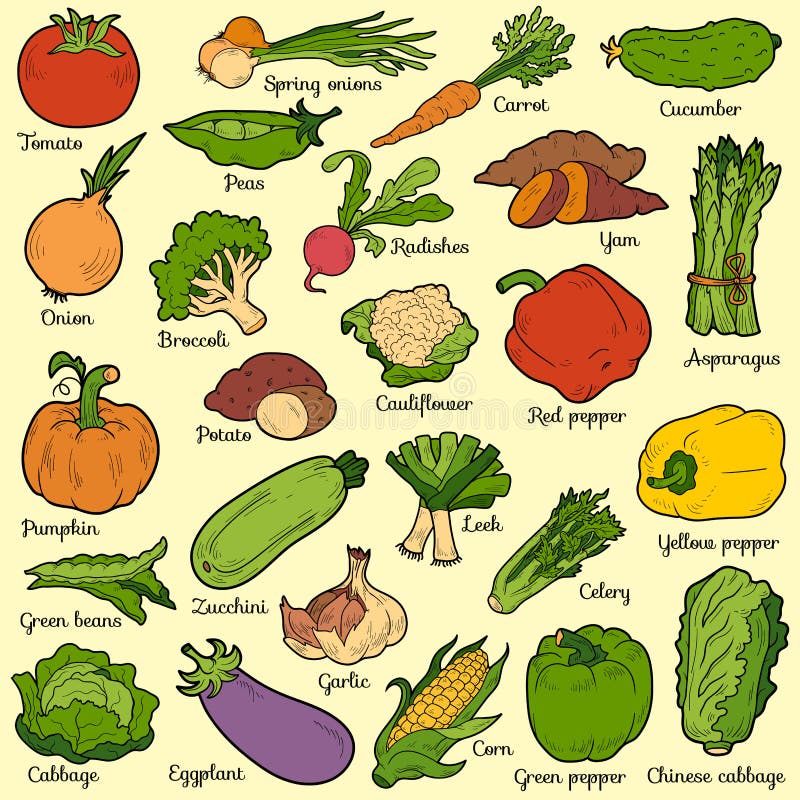 Color set with vegetables, vector cartoon stickers for children. Color set with vegetables, vector cartoon stickers for children