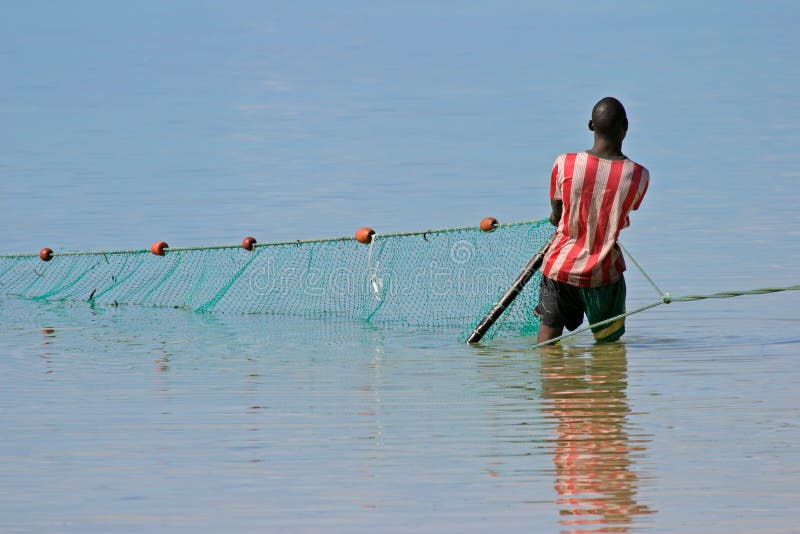 A mozambican fisherman pulling a fishing net from the water, Mozambique, Southern Africa. A mozambican fisherman pulling a fishing net from the water, Mozambique, Southern Africa