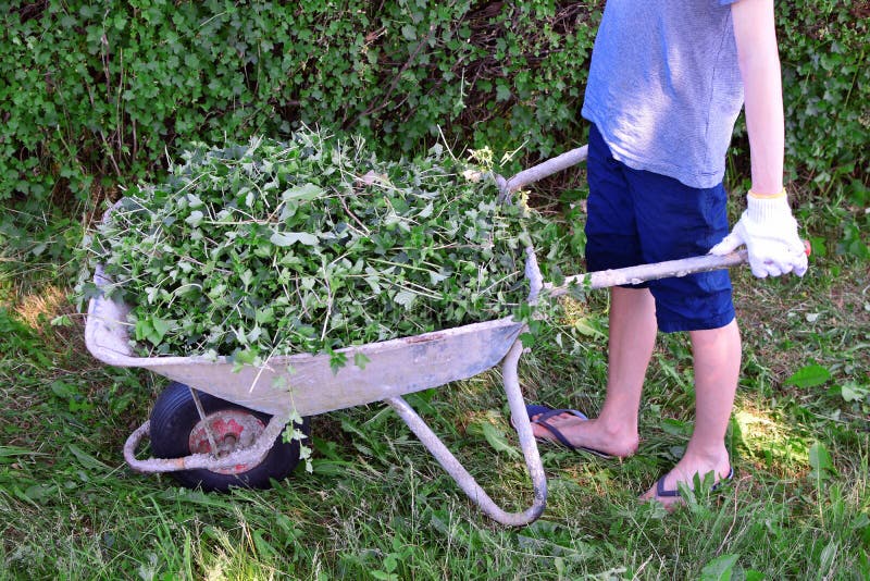 Ωθώντας wheelbarrow αγοριών στοκ εικόνα με δικαίωμα ελεύθερης χρήσης Ωθώντας wheelbarrow αγοριών στοκ εικόνα με δικαίωμα ελεύθερης χρήσης