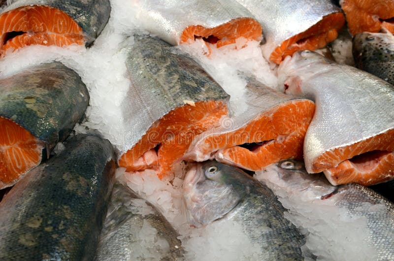 Raw salmon halves - cooled fish on ice exposed for sale in a sumermarket, fish pattern with silver scales orange flesh, omeg source, cooking healthy food. Raw salmon halves - cooled fish on ice exposed for sale in a sumermarket, fish pattern with silver scales orange flesh, omeg source, cooking healthy food