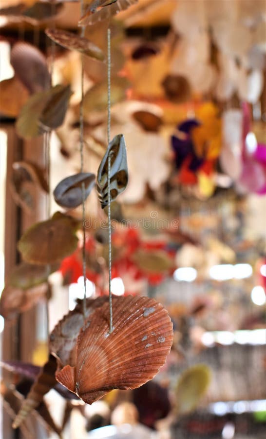 Beautiful sea shell wind chimes hang in an island souvenir shop. Beautiful sea shell wind chimes hang in an island souvenir shop