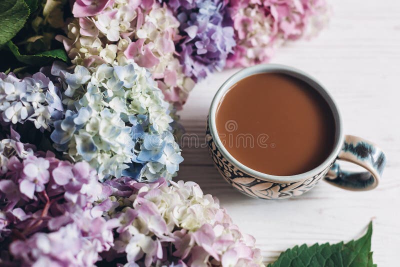 Όμορφα λουλούδια hydrangea και φλυτζάνι καφέ στο αγροτικό άσπρο ξύλο Ζωηρόχρωμο ρόδινο, μπλε, πράσινο hydrangea, ευχετήρια κάρτα στοκ εικόνες Όμορφα λουλούδια hydrangea και φλυτζάνι καφέ στο αγροτικό άσπρο ξύλο Ζωηρόχρωμο ρόδινο, μπλε, πράσινο hydrangea, ευχετήρια κάρτα στοκ εικόνες